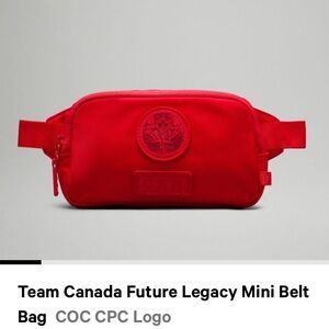 Belt Bag Mini